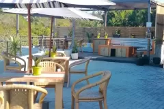 eagle-wings-1-scaled-1